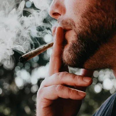 Modellprojekt: Kontrollierter Cannabis-Verkauf in Hannover und Frankfurt am Main