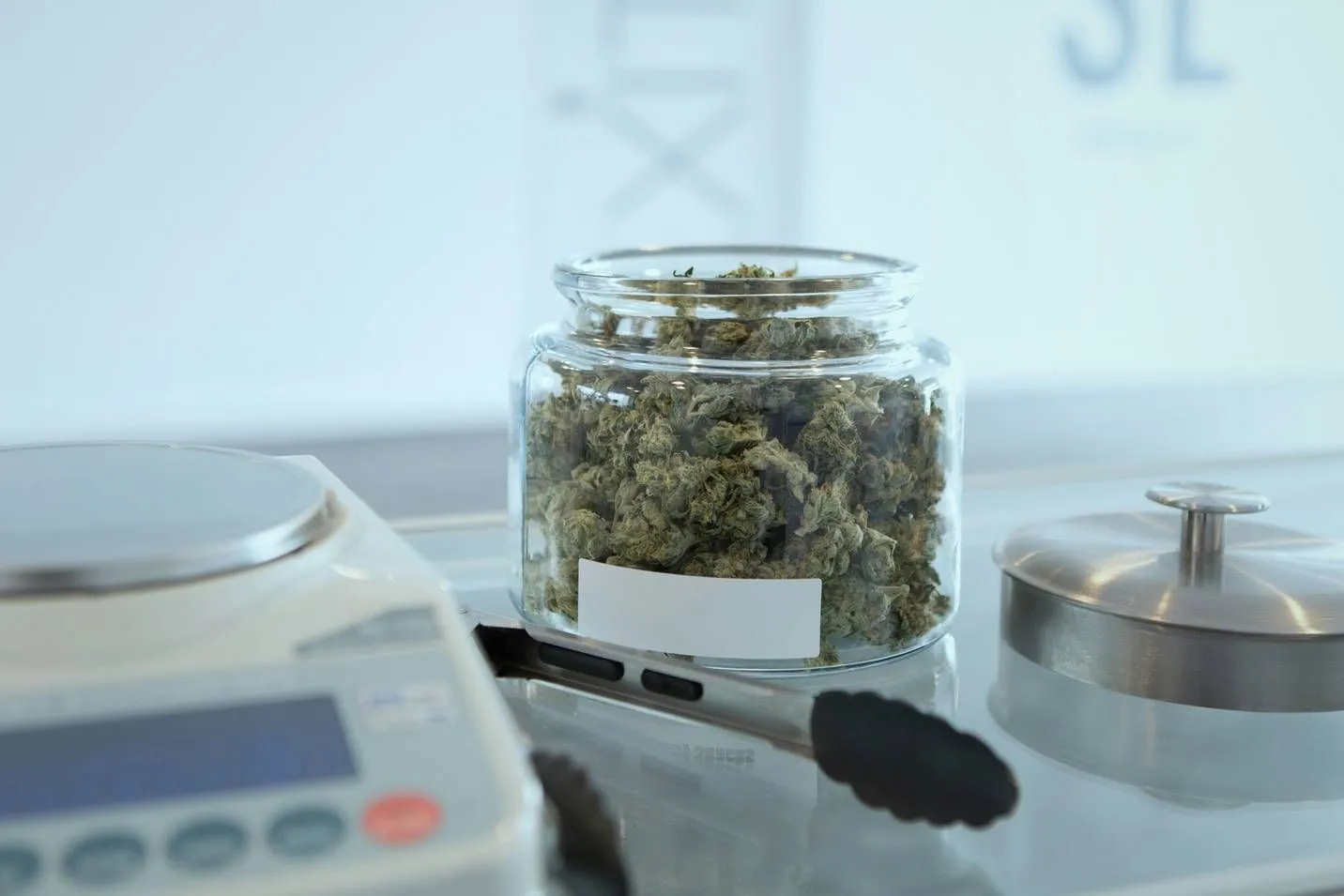 Cannabis Social Clubs in Europa: Ein Modell, das Gemeinschaft und Regulierung vereint