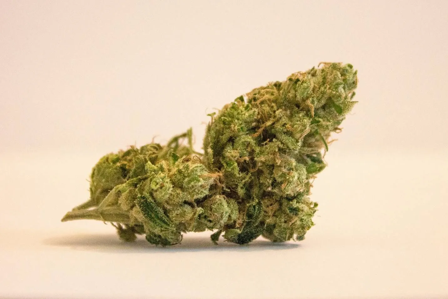 Highflyer: Welche Cannabissorten sind besonders stark