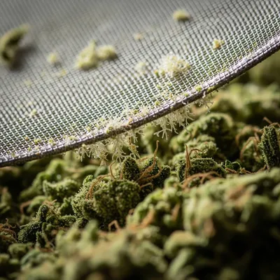 Die “Dry Sift”- Methode